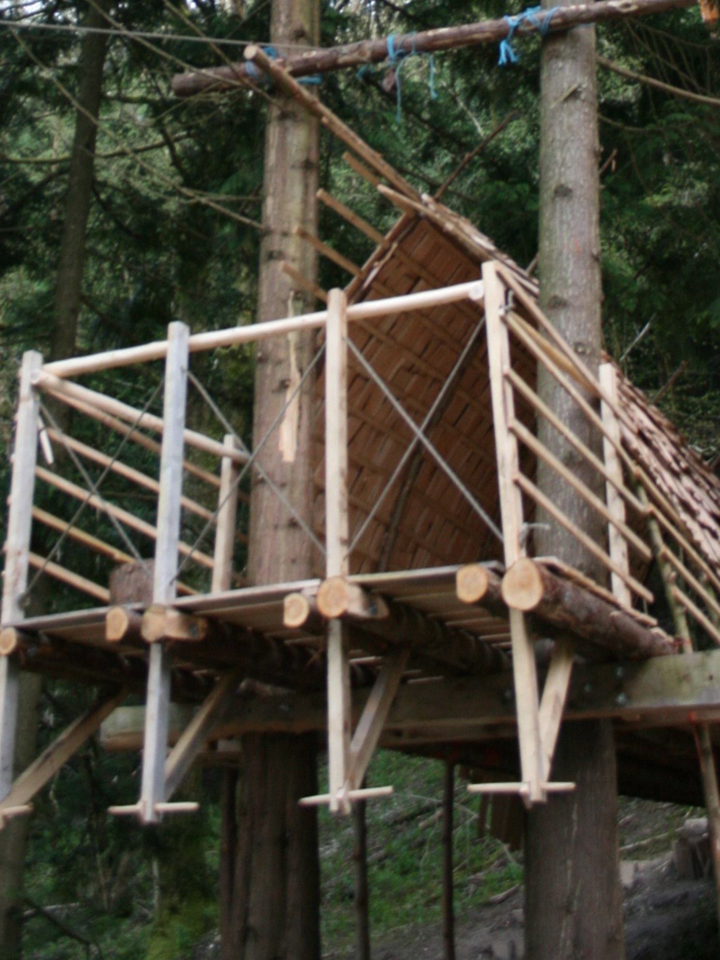 Treehouse Architecture