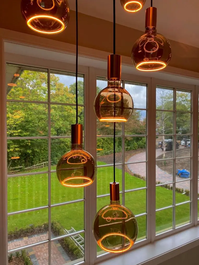 Luxury home light feature with garden view